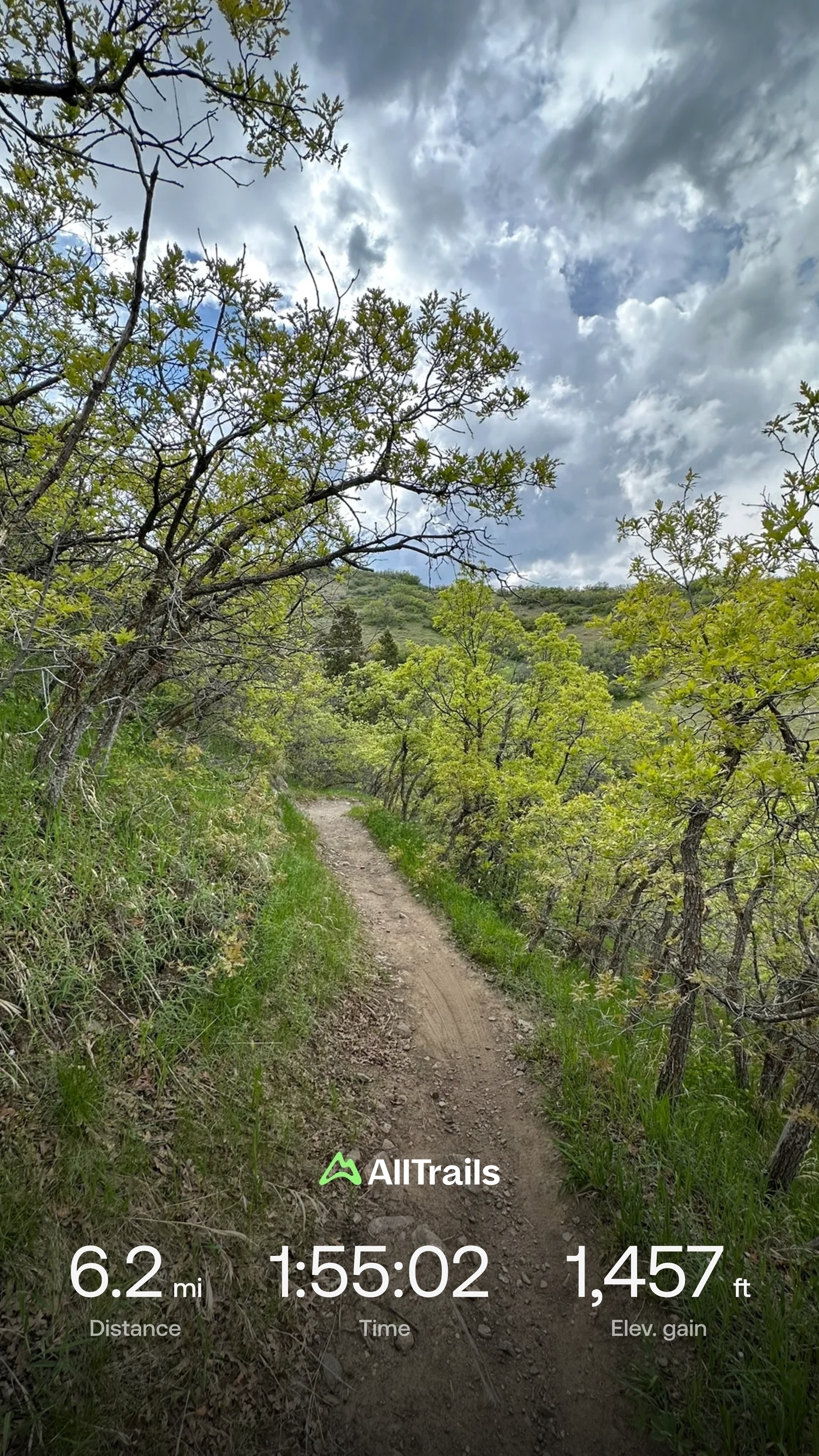 Photo of a dirt trail through low trees. Text: 6.2 mi distance, 1:55:02 hrs, 1,457 ft elev gain.